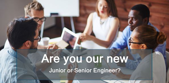 Junior or Senior engineer